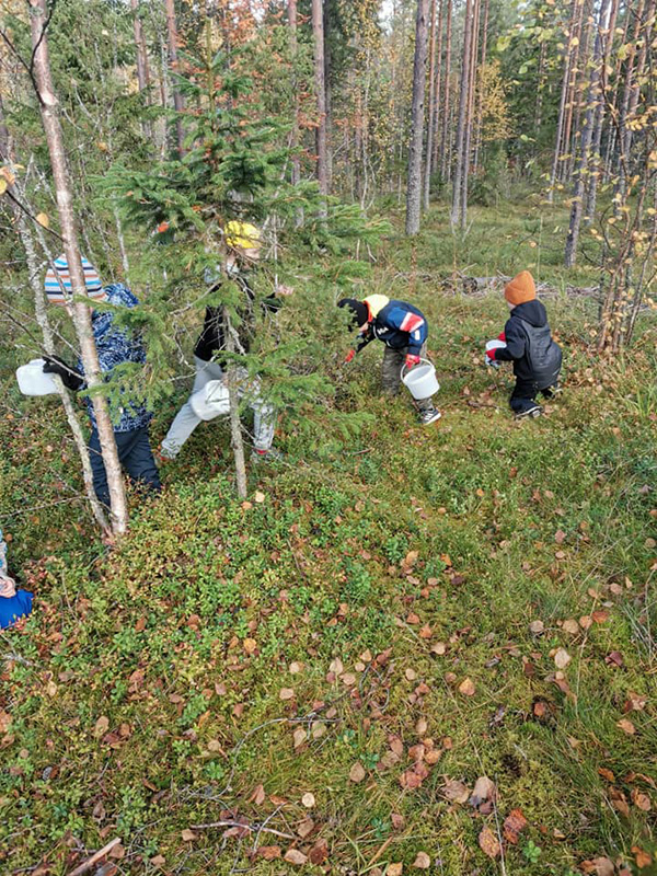 Jakokosken koulussa luonto on lähellä, kuvassa lapset marjssa koulun lähellä.